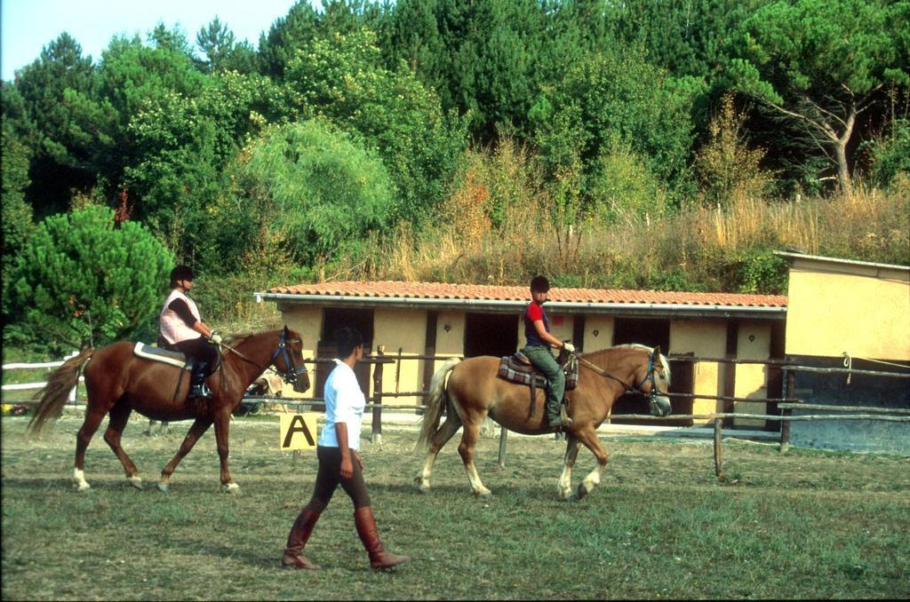 Antico Colle Toscano Resort Арчідоссо Екстер'єр фото